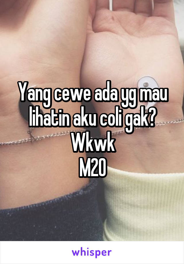 Yang cewe ada yg mau lihatin aku coli gak? Wkwk
M20