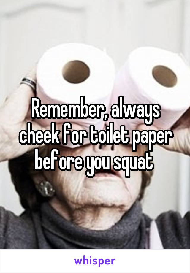 Remember, always cheek for toilet paper before you squat 