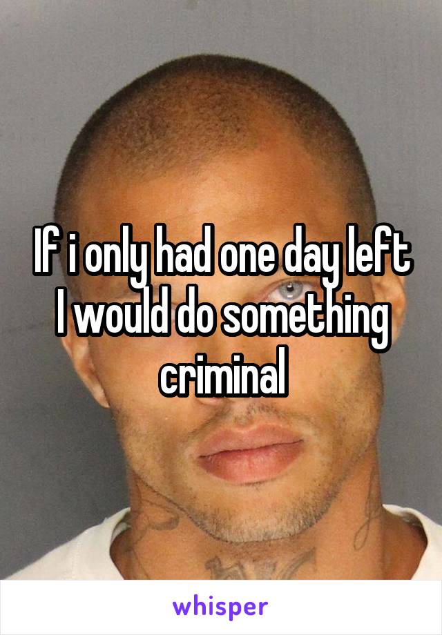 If i only had one day left
I would do something criminal