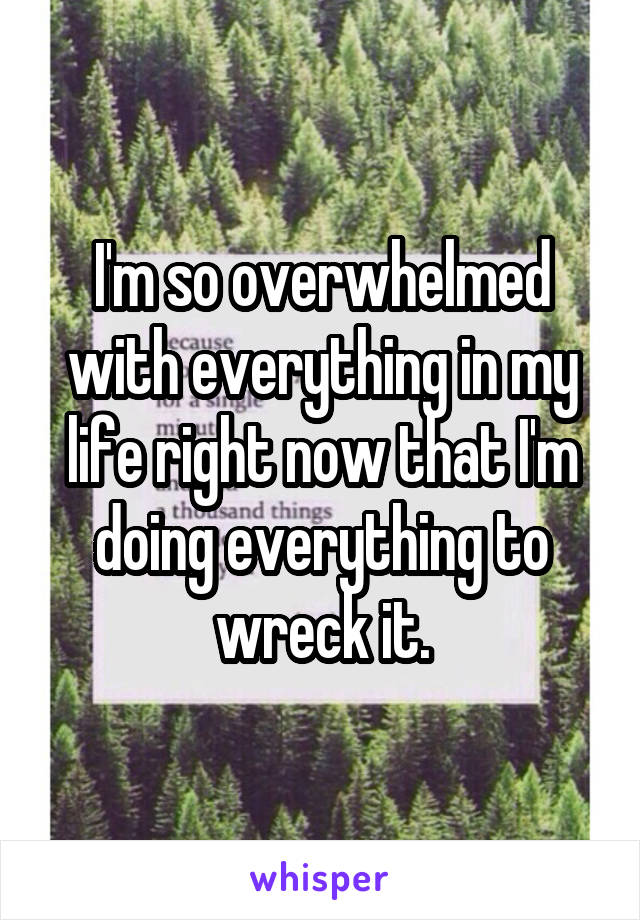 I'm so overwhelmed with everything in my life right now that I'm doing everything to wreck it.