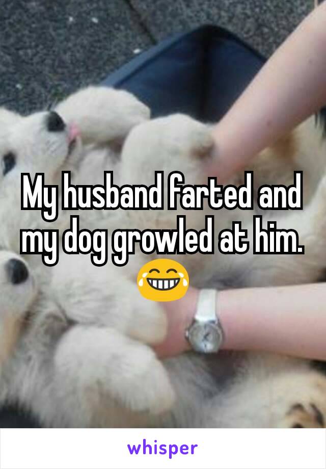 My husband farted and my dog growled at him.
😂