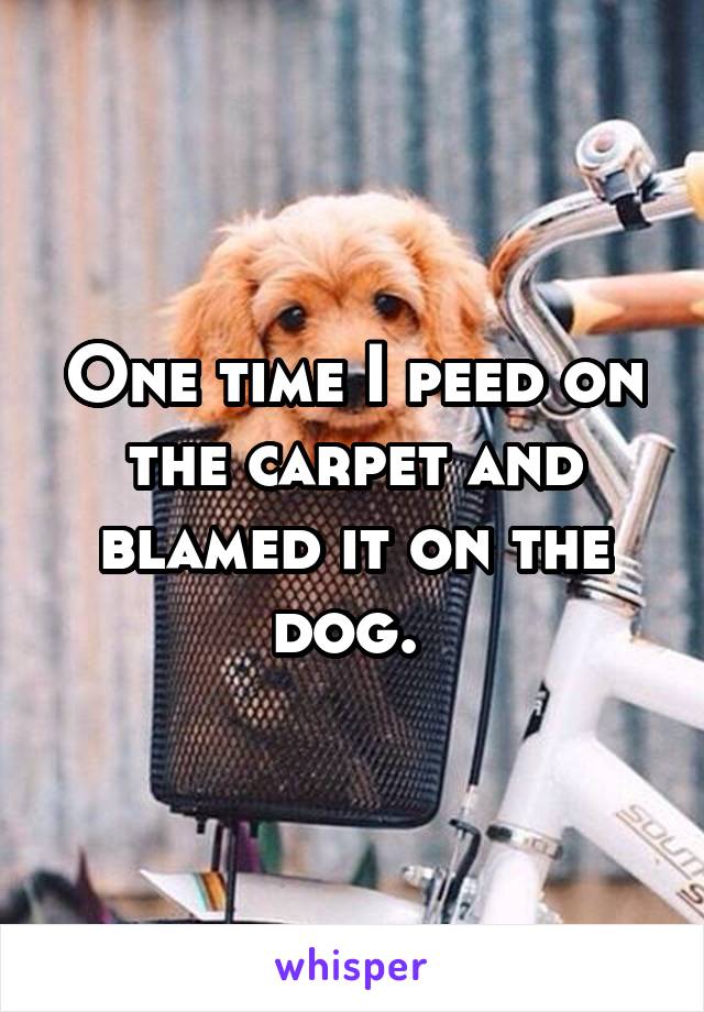 One time I peed on the carpet and blamed it on the dog. 