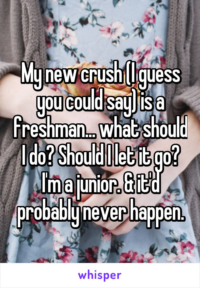 My new crush (I guess you could say) is a freshman... what should I do? Should I let it go? I'm a junior. & it'd probably never happen.