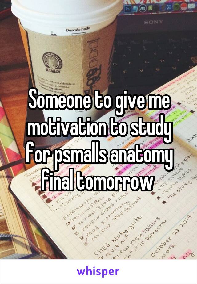 Someone to give me motivation to study for psmalls anatomy final tomorrow 