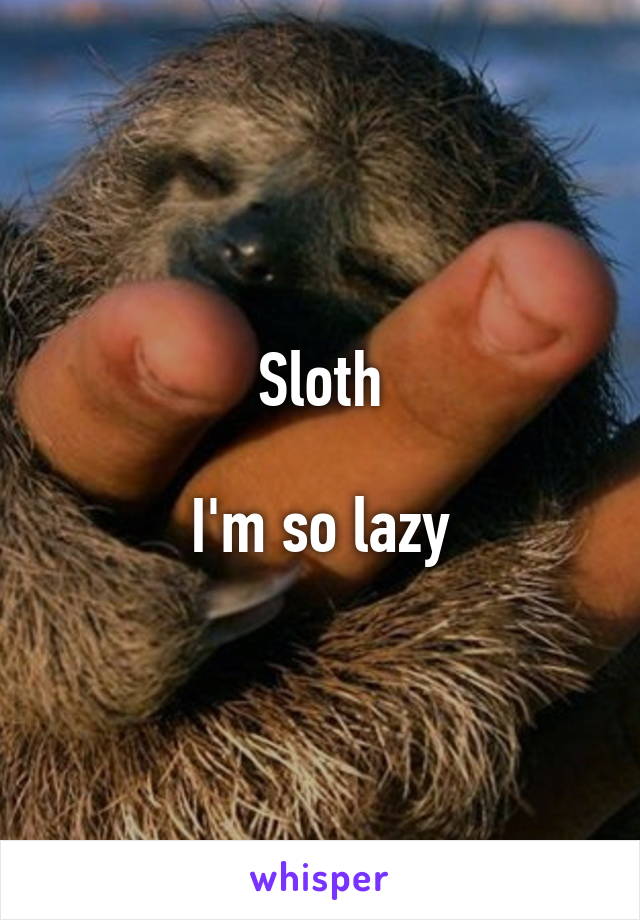 Sloth

I'm so lazy