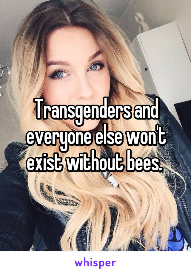 Transgenders and everyone else won't exist without bees. 