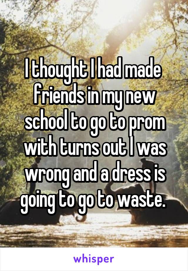 I thought I had made  friends in my new school to go to prom with turns out I was wrong and a dress is going to go to waste. 