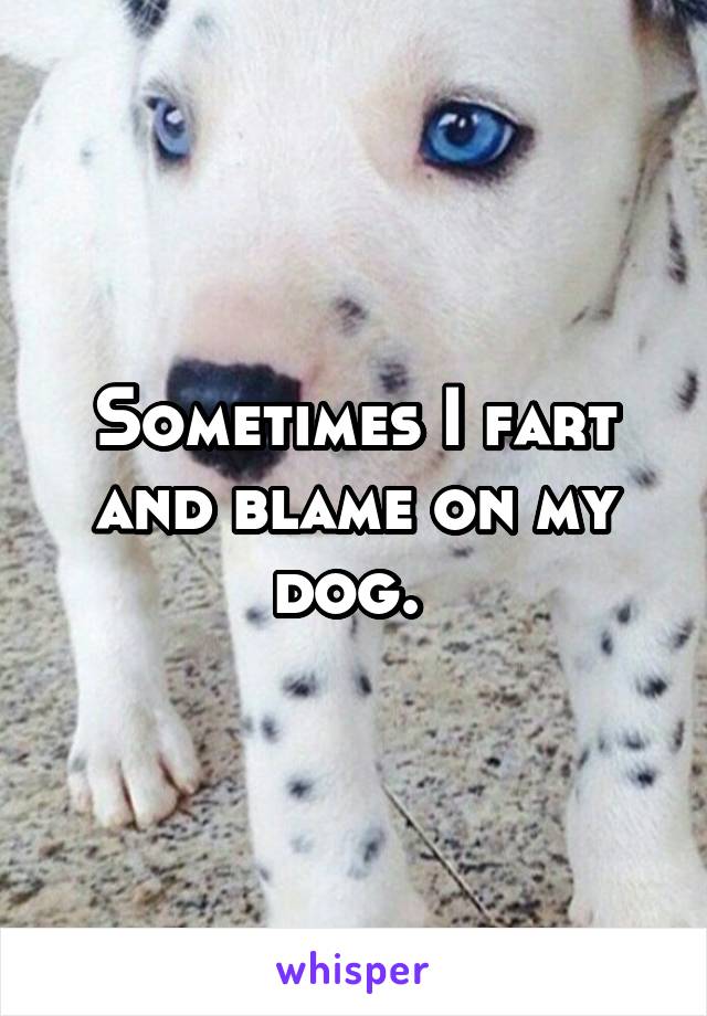 Sometimes I fart and blame on my dog. 