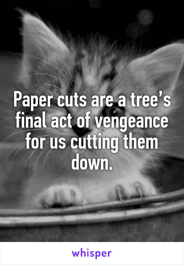 Paper cuts are a tree’s final act of vengeance for us cutting them down.