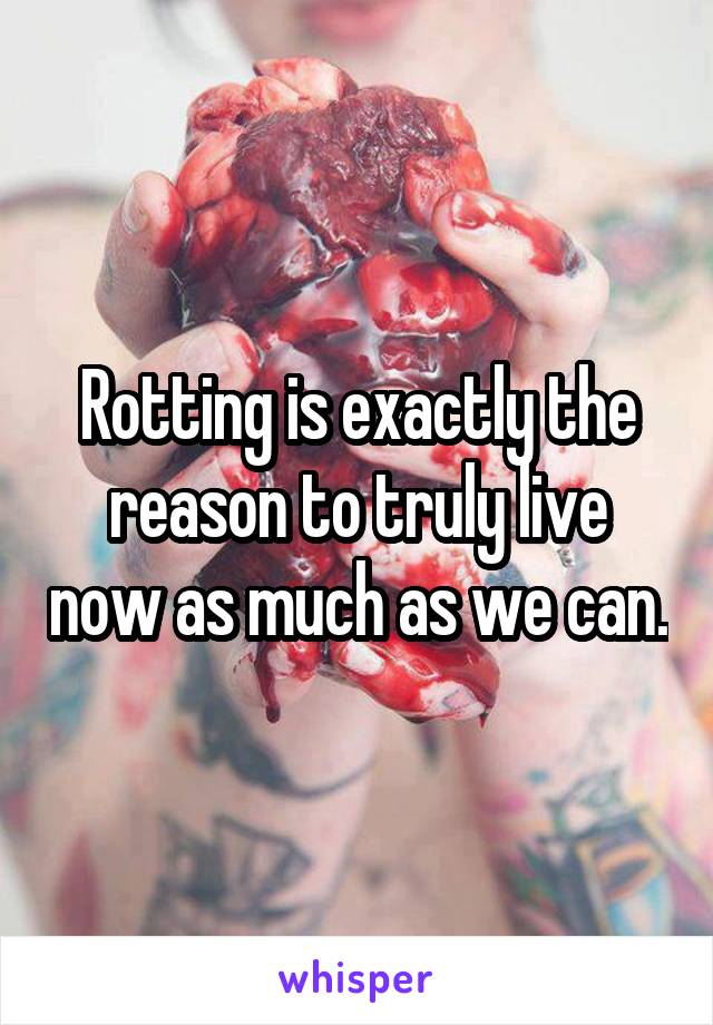 Rotting is exactly the reason to truly live now as much as we can.