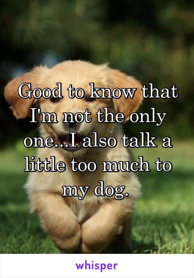 Good to know that I'm not the only one...I also talk a little too much to my dog. 