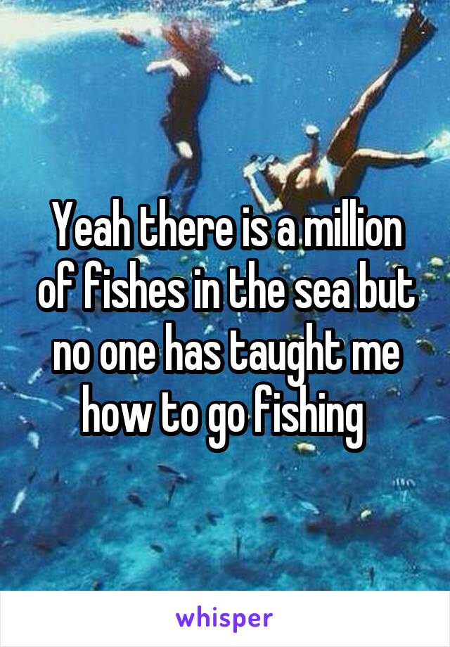 Yeah there is a million of fishes in the sea but no one has taught me how to go fishing 