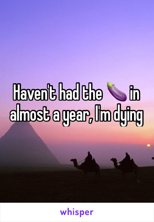 Haven't had the 🍆 in almost a year, I'm dying 