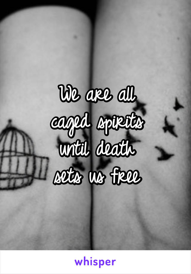 We are all
caged spirits
until death
sets us free