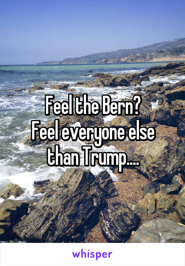 Feel the Bern?
Feel everyone else than Trump....