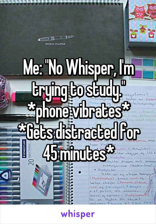 Me: "No Whisper, I'm trying to study."
*phone vibrates*
*Gets distracted for 45 minutes*