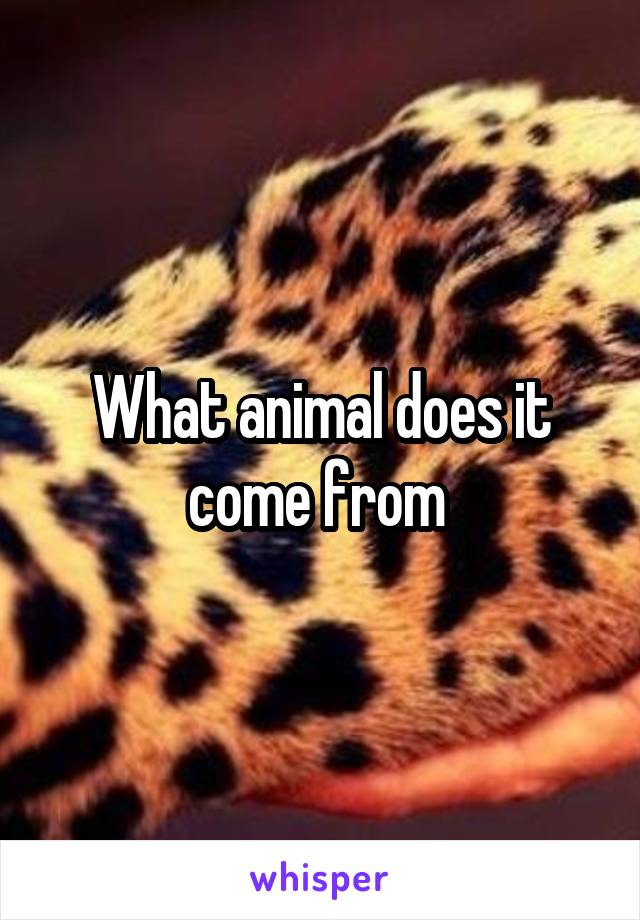 What animal does it come from 