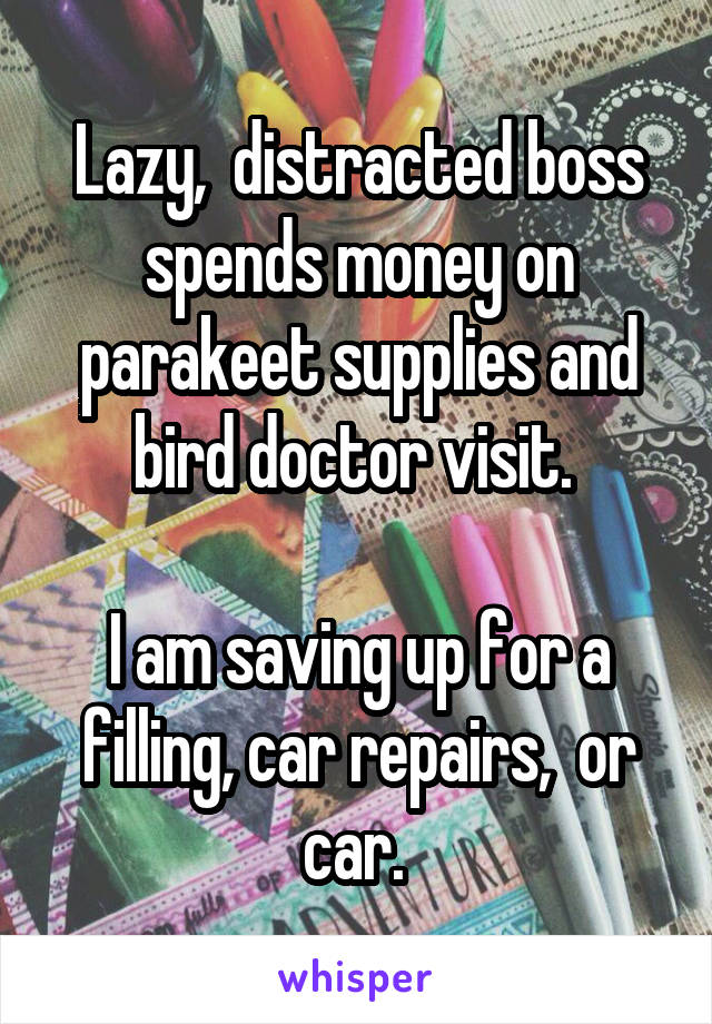 Lazy,  distracted boss spends money on parakeet supplies and bird doctor visit. 

I am saving up for a filling, car repairs,  or car. 