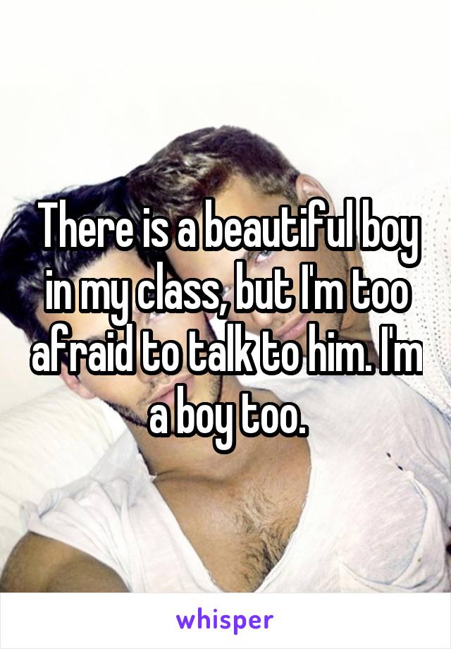 There is a beautiful boy in my class, but I'm too afraid to talk to him. I'm a boy too.