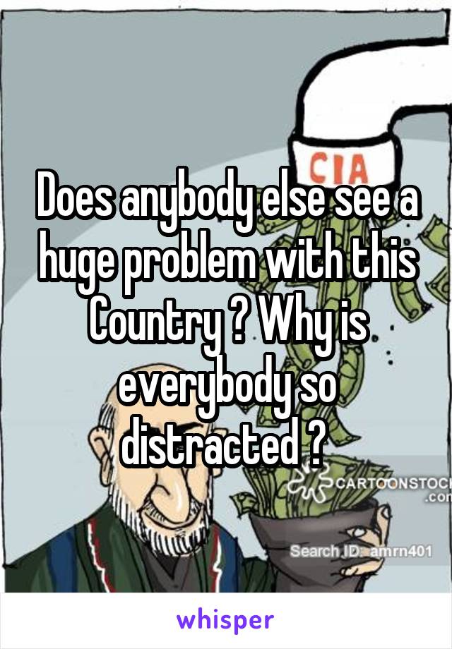 Does anybody else see a huge problem with this Country ? Why is everybody so distracted ? 