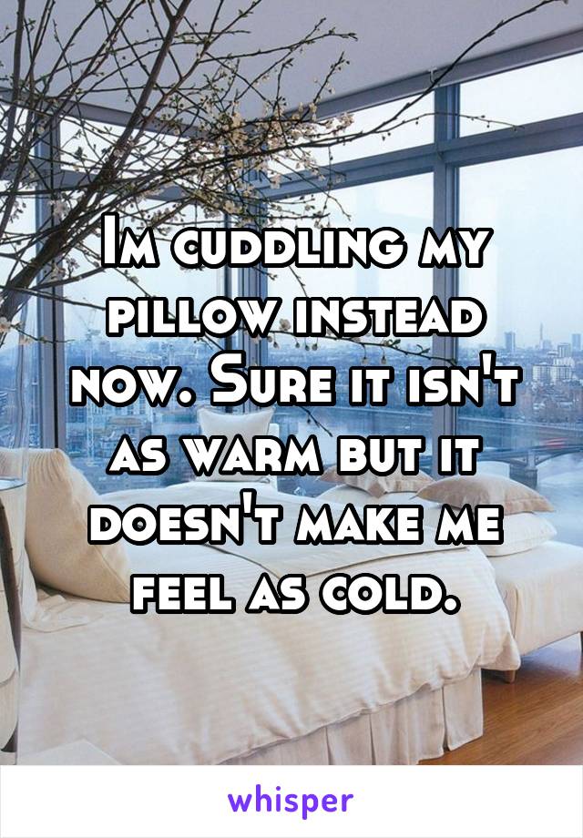 Im cuddling my pillow instead now. Sure it isn't as warm but it doesn't make me feel as cold.