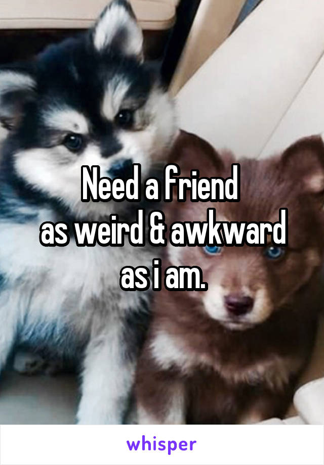 Need a friend 
as weird & awkward as i am.