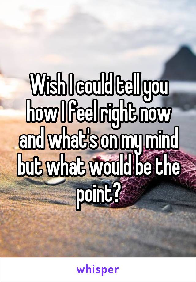 Wish I could tell you how I feel right now and what's on my mind but what would be the point?