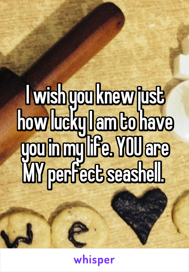 I wish you knew just how lucky I am to have you in my life. YOU are MY perfect seashell. 