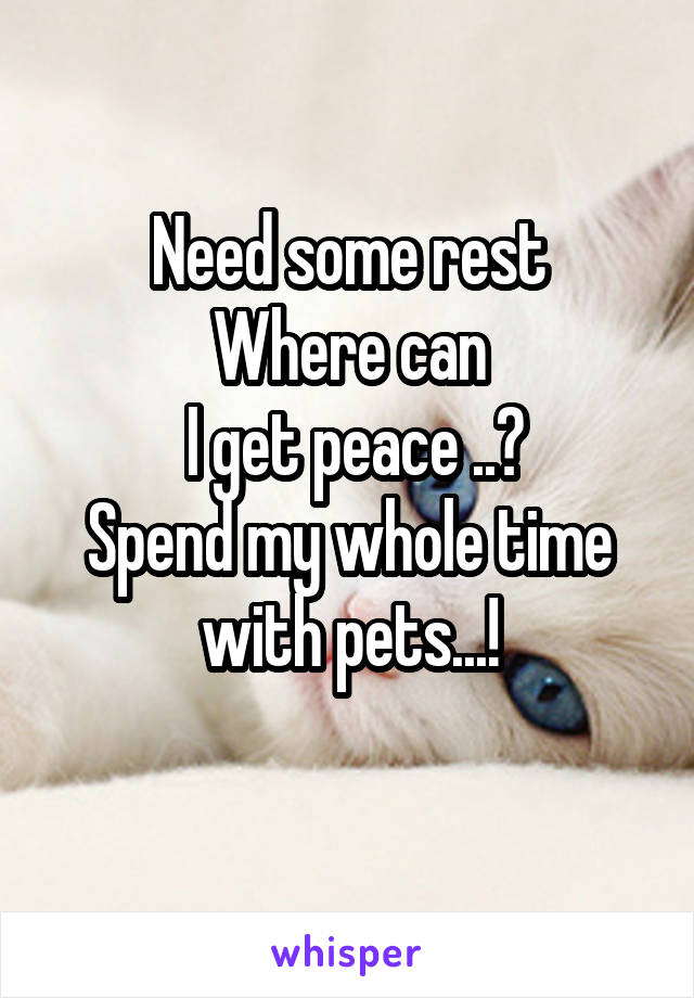 Need some rest
Where can
 I get peace ..?
Spend my whole time with pets...!
