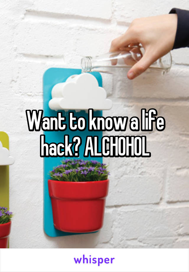 Want to know a life hack? ALCHOHOL