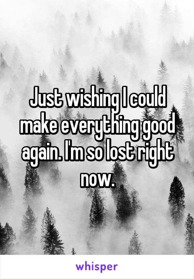 Just wishing I could make everything good again. I'm so lost right now.