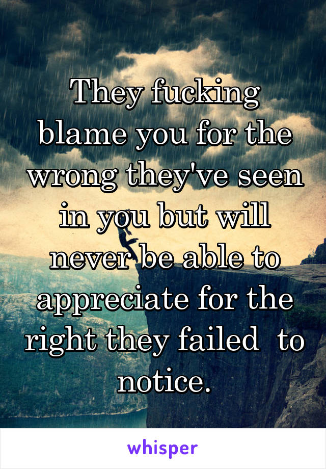 They fucking blame you for the wrong they've seen in you but will never be able to appreciate for the right they failed  to notice.