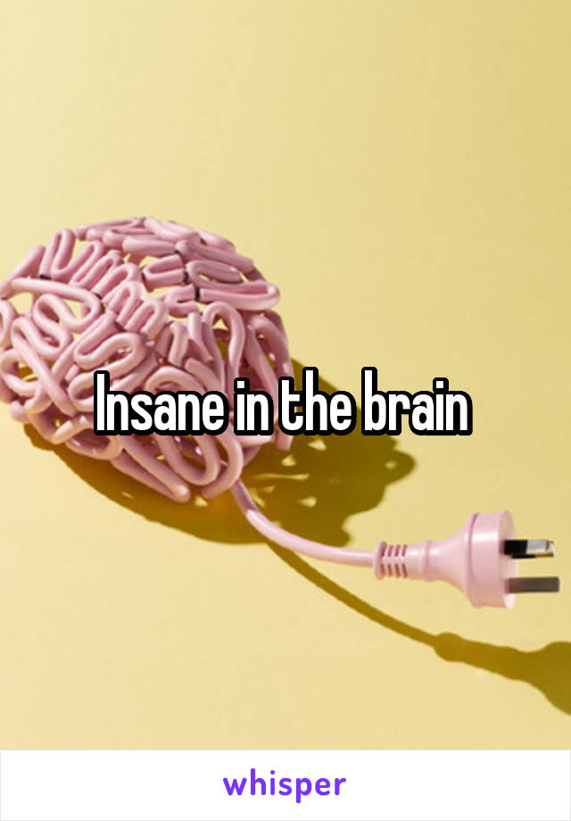 Insane in the brain 