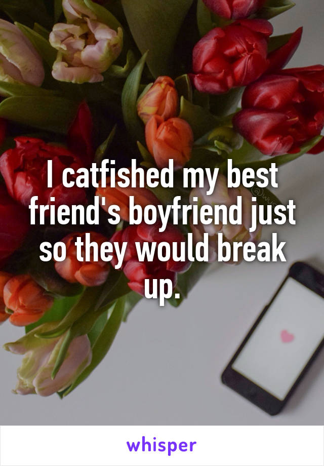 I catfished my best friend's boyfriend just so they would break up.