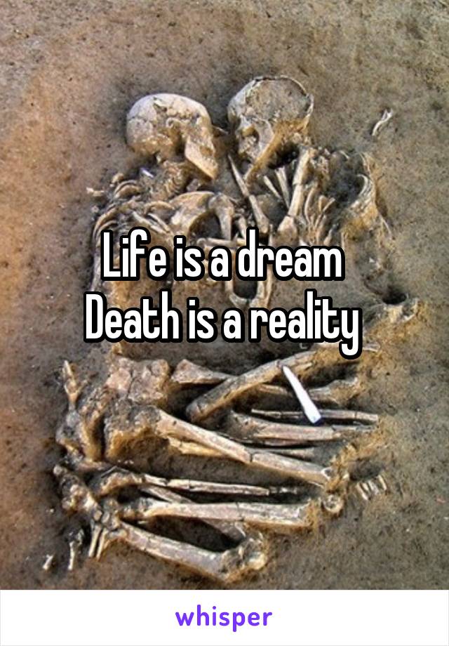 Life is a dream 
Death is a reality 
