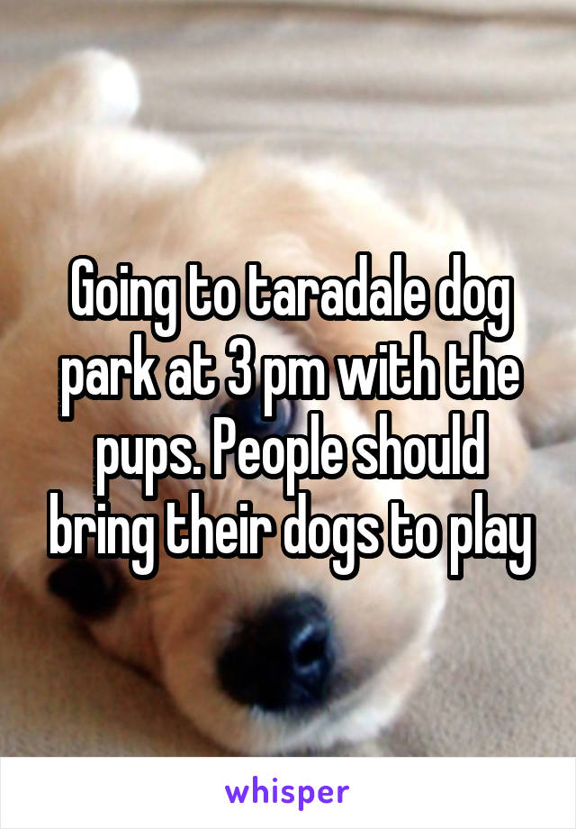 Going to taradale dog park at 3 pm with the pups. People should bring their dogs to play