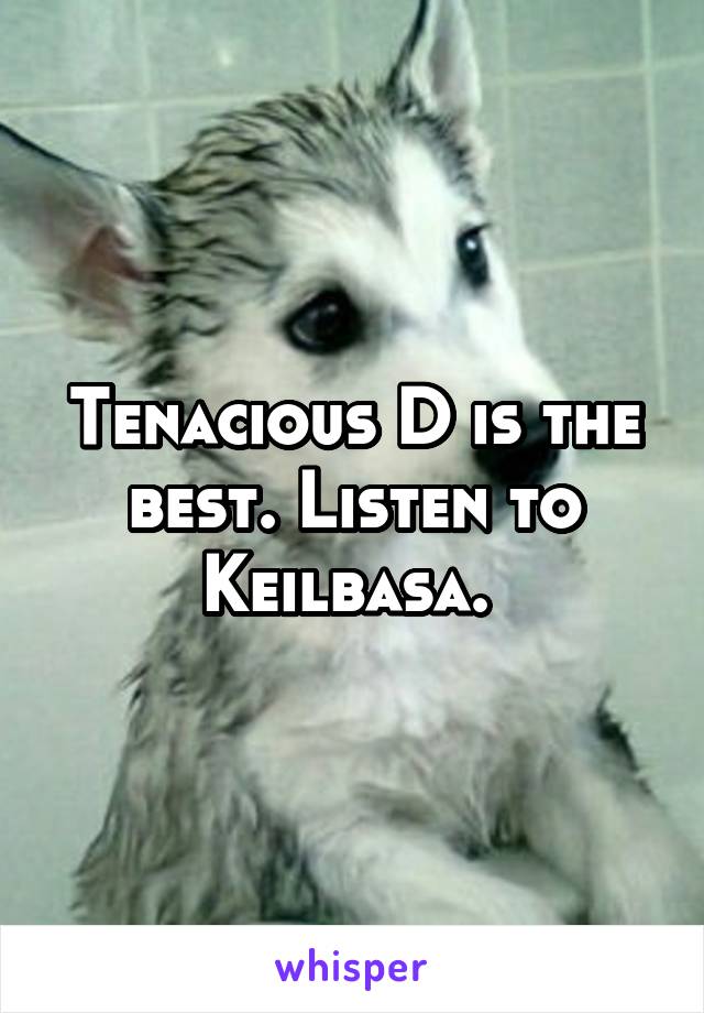 Tenacious D is the best. Listen to Keilbasa. 