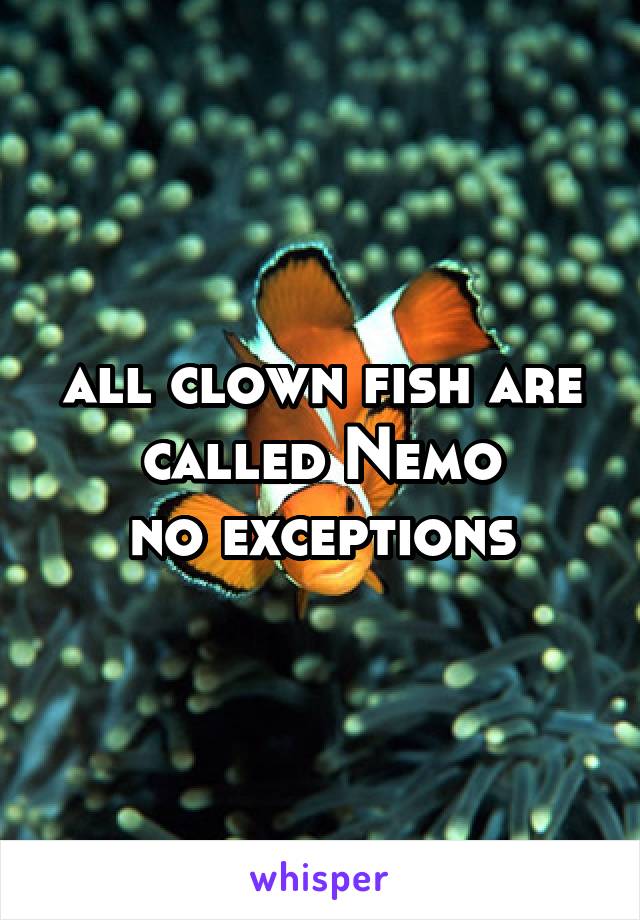 all clown fish are called Nemo
no exceptions