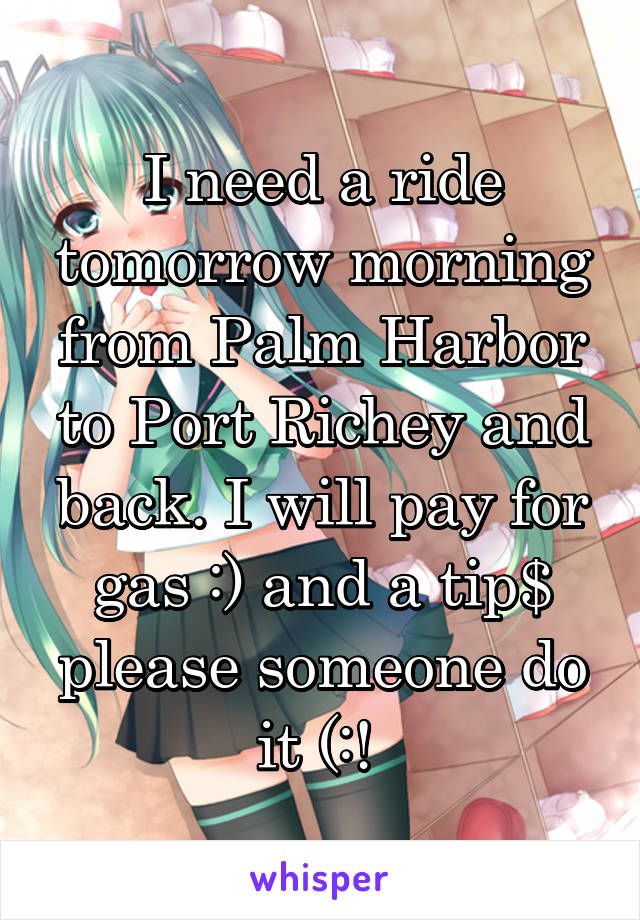 I need a ride tomorrow morning from Palm Harbor to Port Richey and back. I will pay for gas :) and a tip$ please someone do it (:! 