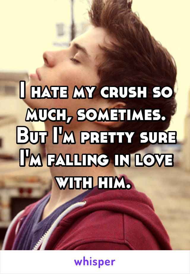 I hate my crush so much, sometimes. But I'm pretty sure I'm falling in love with him. 