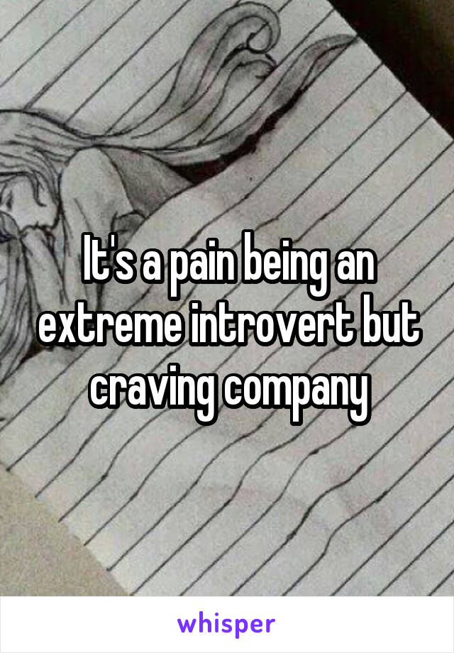 It's a pain being an extreme introvert but craving company