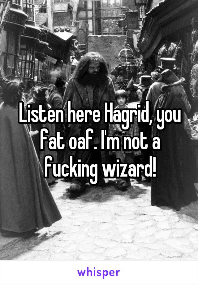 Listen here Hagrid, you fat oaf. I'm not a fucking wizard!