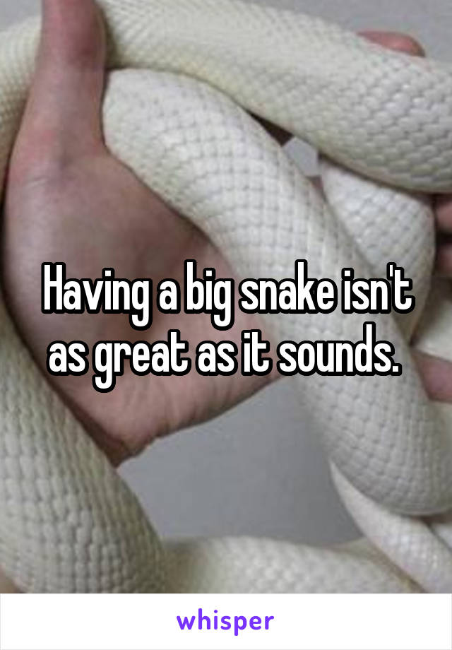 Having a big snake isn't as great as it sounds. 