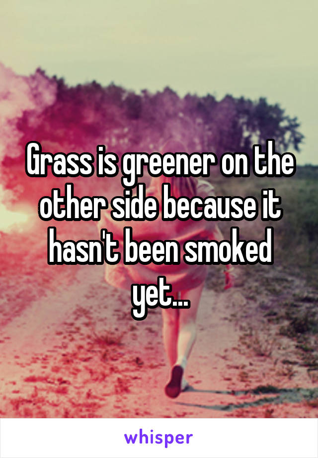 Grass is greener on the other side because it hasn't been smoked yet...