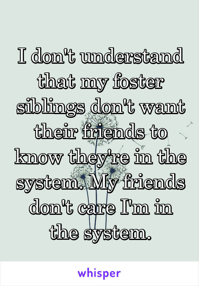 I don't understand that my foster siblings don't want their friends to know they're in the system. My friends don't care I'm in the system.