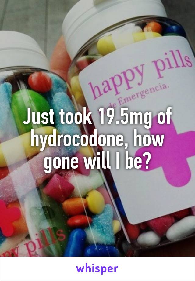 Just took 19.5mg of hydrocodone, how gone will I be?