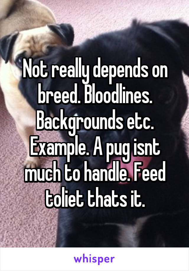 Not really depends on breed. Bloodlines. Backgrounds etc.
Example. A pug isnt much to handle. Feed toliet thats it.