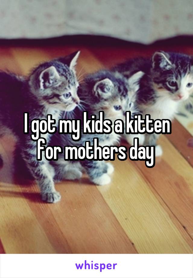 I got my kids a kitten for mothers day 