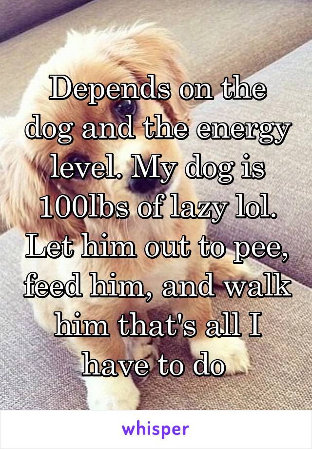 Depends on the dog and the energy level. My dog is 100lbs of lazy lol. Let him out to pee, feed him, and walk him that's all I have to do 