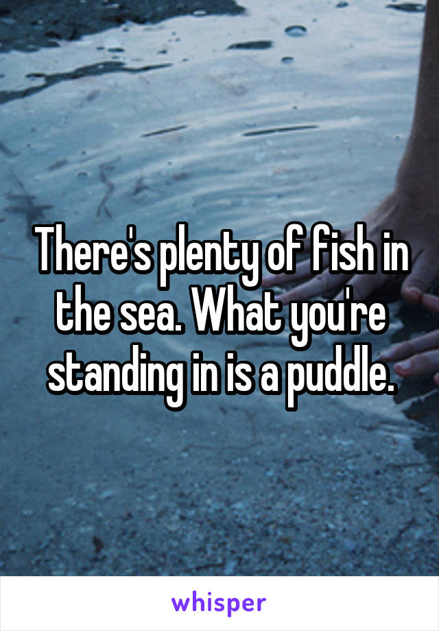 There's plenty of fish in the sea. What you're standing in is a puddle.